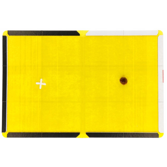 6x Pułapka na Myszy Szczury Lep na Myszy Szczury Ultra Mocny PestBook 31,5x21x1cm GOODSHOT
