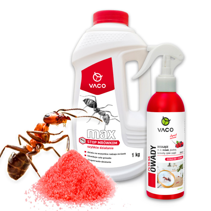 Zestaw na mrówki Proszek na mrówki 1kg Preparat na mrówki 250ml VACO Zestaw na mrówki Proszek na mrówki 1kg Preparat na mrówki 250ml VACO